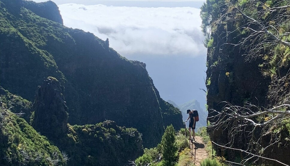 NATUROPPLEVELSER: : Dette bildet er tatt et sted mellom Pico Ruivo og Pico Do Arieiro - den mest kjente fotturen på Madeira. Ruten er flott og krevende og går langs smale stier, opp og ned trapper, gjennom mørke tunneler.