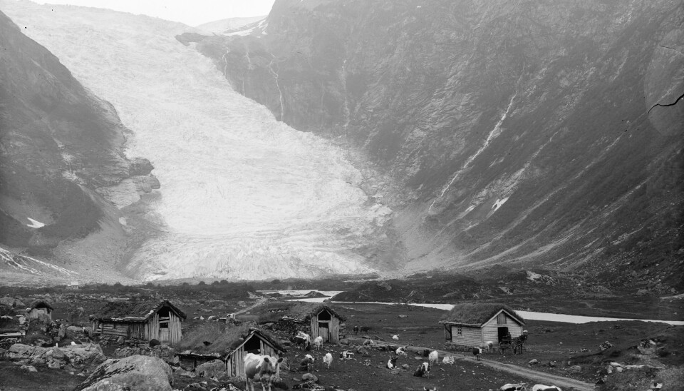 NATUREN LOKKA: Fjærland er ei bygd der fjord møter bre, og vart difor eit ynda reisemål då den ville og urørte norske naturen lokka fleire og fleire turistar til landet. Biletet viser Bøyabreen.Fotograf: Andreas Mathias Anderssen. Datering: 1891–1910.