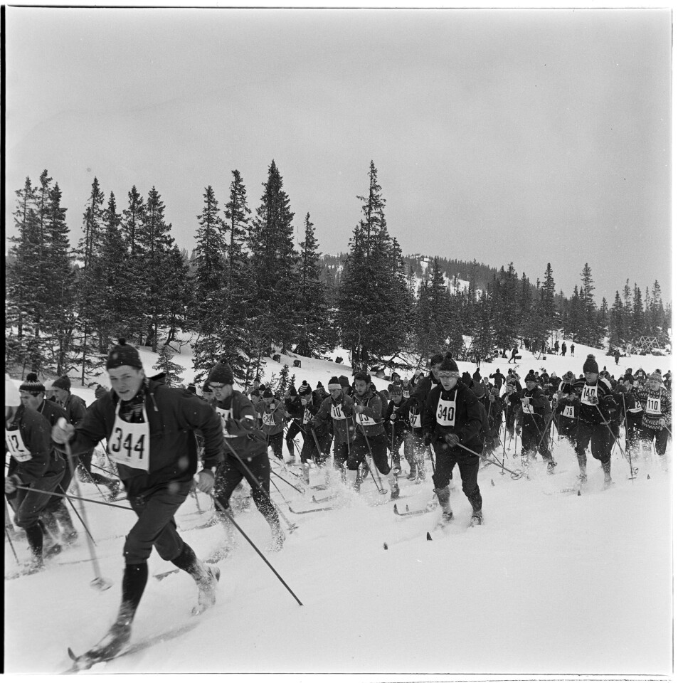 STUDENTFEMMILA: Bymarka utenfor Trondheim fylles årlig opp av studenter som under den såkalte Studentfemmila. Bildet er fra 1968. Bildet i sort-hvitt viser mange mennesker ute i snøkledd landskap med ski og staver - og nummer på brystet