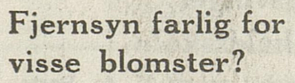 Overskrift fra Østlendingen 1964 Tekst: Fjernsyn farlig for visse blomster?