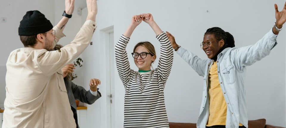 Arkivutviklingsmidler 2024 fordelt