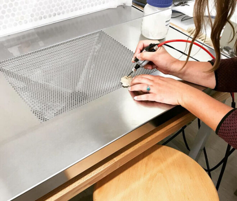 FRAGMENTER RENGJØRES: For en skånsom rengjøring av de minste fragmentene brukes microblasting, dette innebærer at man rengjør materialet med trykkluft og pulveriserte cellolusefibre.