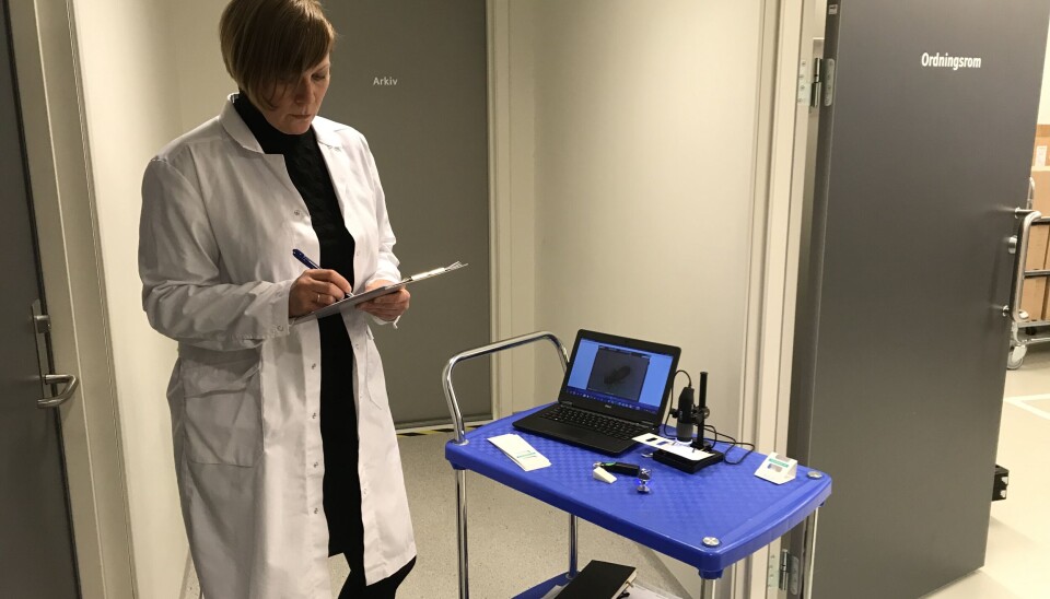 Registrering av limfeller: Oversikt over hva som fanges i hvilke feller er avgjørende for å lykkes med et IPM-program.