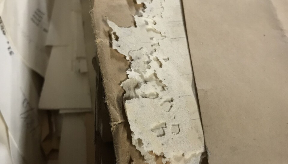 Både skjeggkre og sølvkre ødelegger papir ved å skrape av cellulosefibre fra overflaten som de spiser. Finner de et sted de liker å være, kan de gjøre stor skade.
