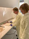 En mann og en kvinne i hvite frakker står ved en benk. Han har på blå hansker og jobber med en protokoll