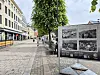 Bygate med trær, benker og en informasjonstavle med historiske bilder.